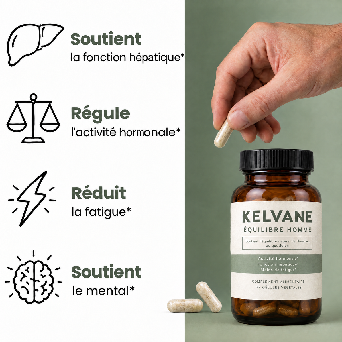 Les bienfaits d'Équilibre Homme : foie, activité hormonale, fatigue, mental